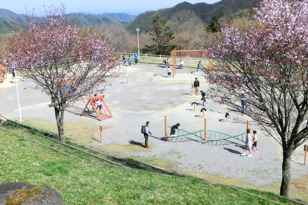 広い敷地でのびのび遊ぶことができる／日光霧降高原大笹牧場（栃木県／日光市）