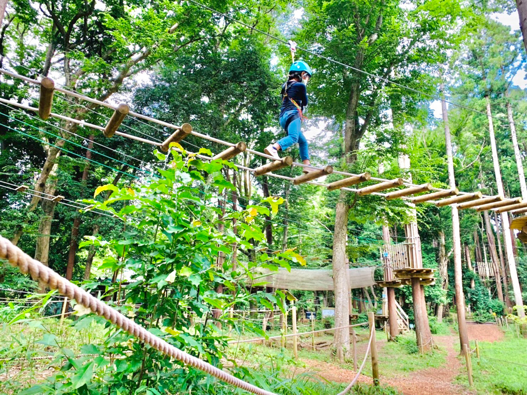 フォレストアドベンチャー・千葉