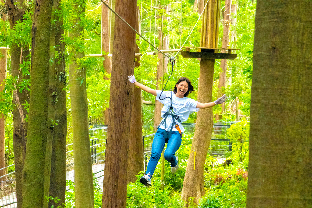 アドベンチャーコースジップスライド/フォレストアドベンチャー・よこはま(神奈川県/横浜市旭区)