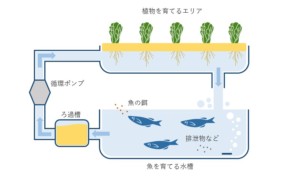 サンシャイン水族館SDGsWeek～生き物のつながり×食～（東京都/豊島区）