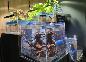 海の課題を考える「サンシャイン水族館SDGsWeek~生き物のつながり×食~」が9/23~30開催