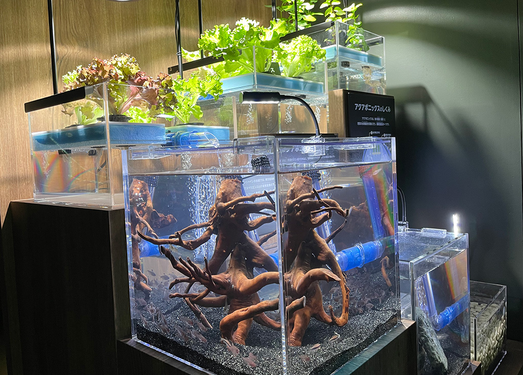 サンシャイン水族館SDGsWeek～生き物のつながり×食～（東京都/豊島区）