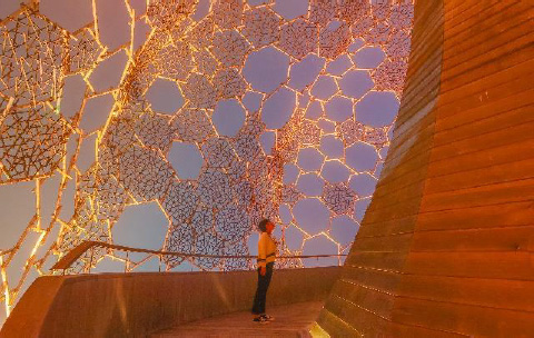 体験型アートイベント「シダレミュージアム」/六甲ガーデンテラス（兵庫県/神戸市）