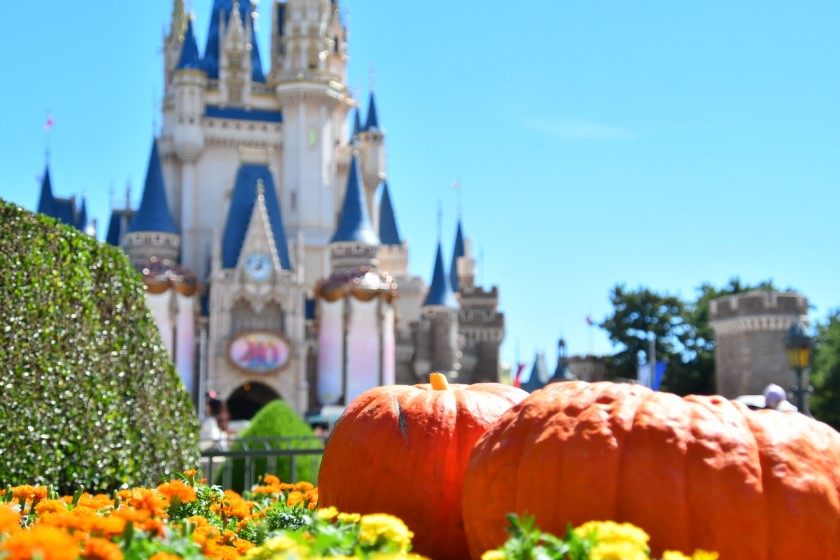 /東京ディズニーランド(千葉県/舞浜市)