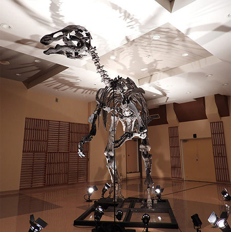 全身骨格/特別企画展「ザ・パーフェクト恐竜」(北海道/札幌市)