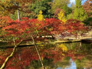 岐阜県の紅葉がおすすめの公園・庭園など8選(10月下~12月上)子どもと秋散歩!