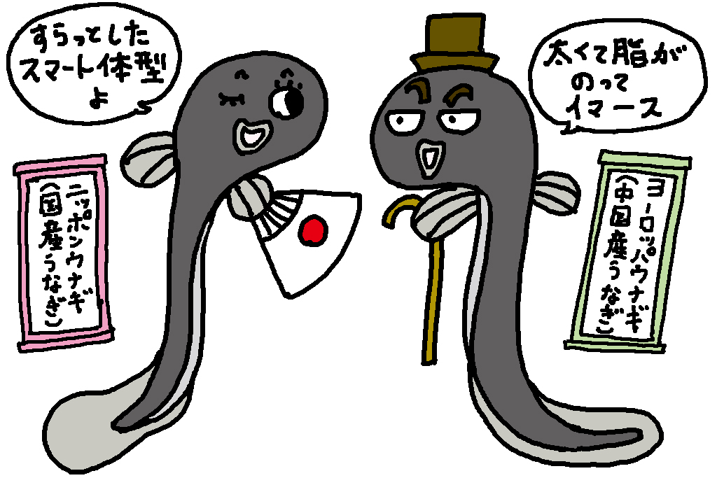 静岡県の特産品「うなぎ」