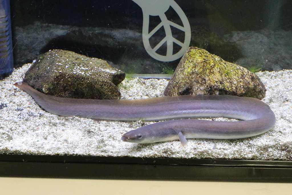 浜名湖体験学習施設ウォット（静岡県/浜松市）