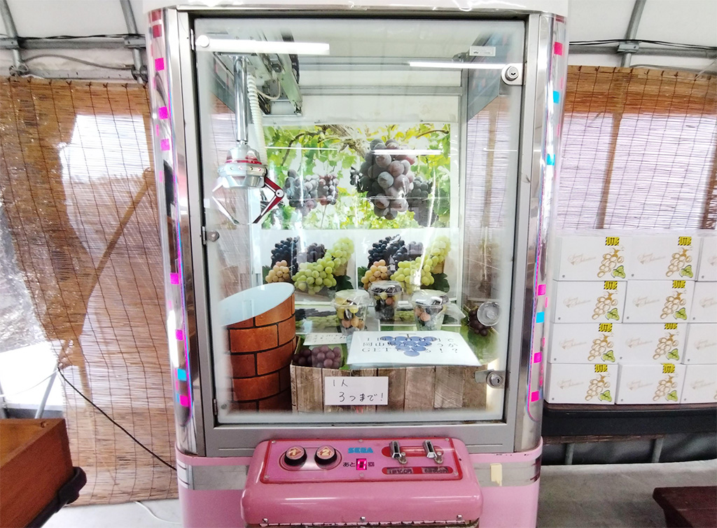 ぶどうキャッチャー/美作農園（岡山県/美作市）