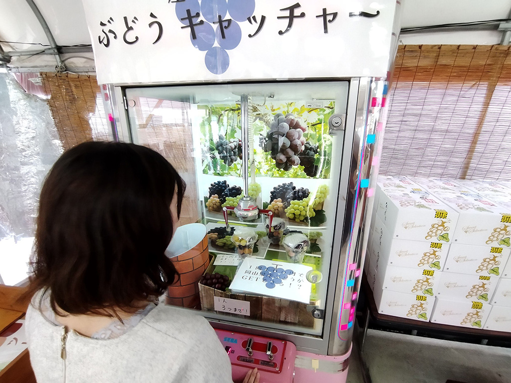 ぶどうキャッチャー/美作農園（岡山県/美作市）