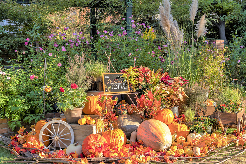 ハロウィンパレード/2023オータムフェスティバル(東京都/練馬区)