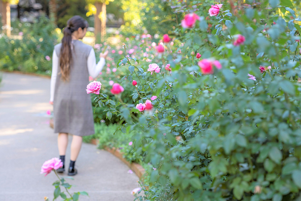 秋のガーデンツアー/2023オータムフェスティバル(東京都/練馬区)