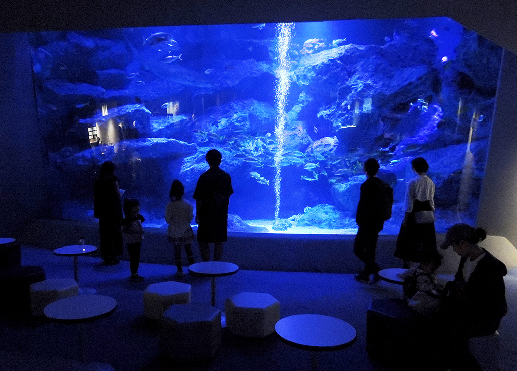 小笠原大水槽/すみだ水族館（東京都/墨田区）