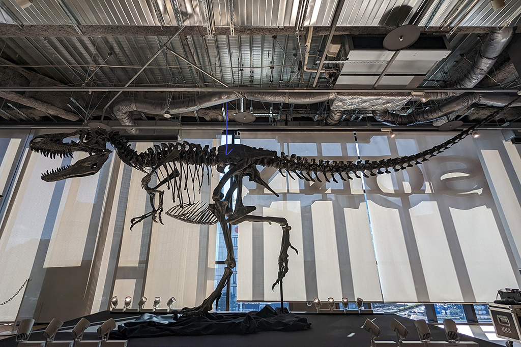 ゴルゴサウルスの全⾝⾻格標本/ソニーストア名古屋 「恐竜ミュージアム ―科学で紐解く恐竜の世界―」(愛知県/名古屋市)