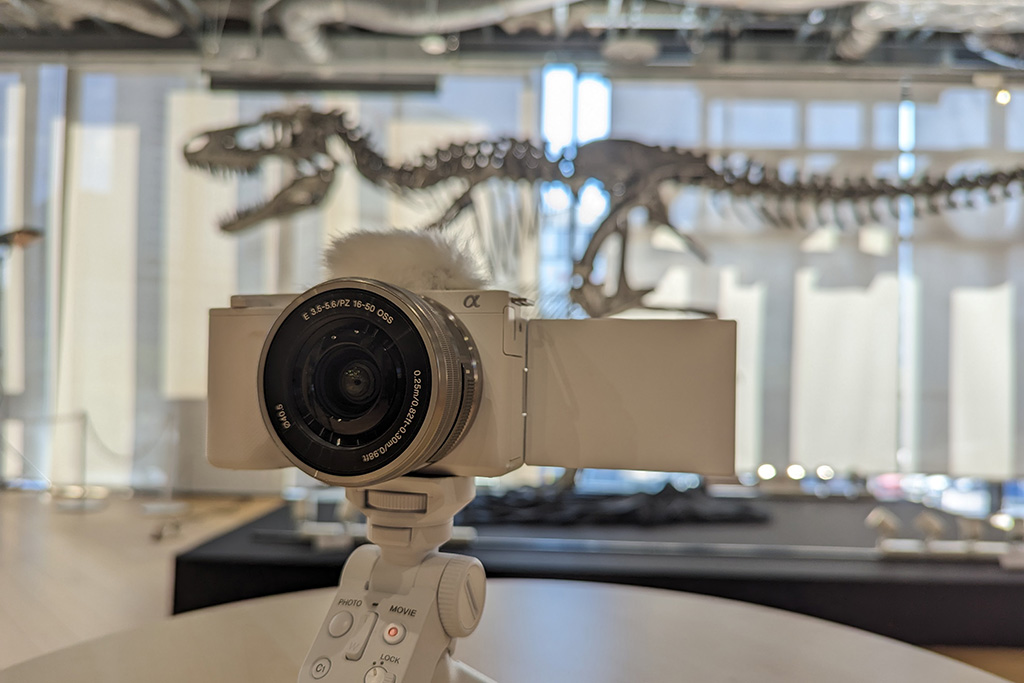 ワークショップ:恐竜ミュージアムのCMを作ろう!/ソニーストア名古屋 「恐竜ミュージアム ―科学で紐解く恐竜の世界―」(愛知県/名古屋市)