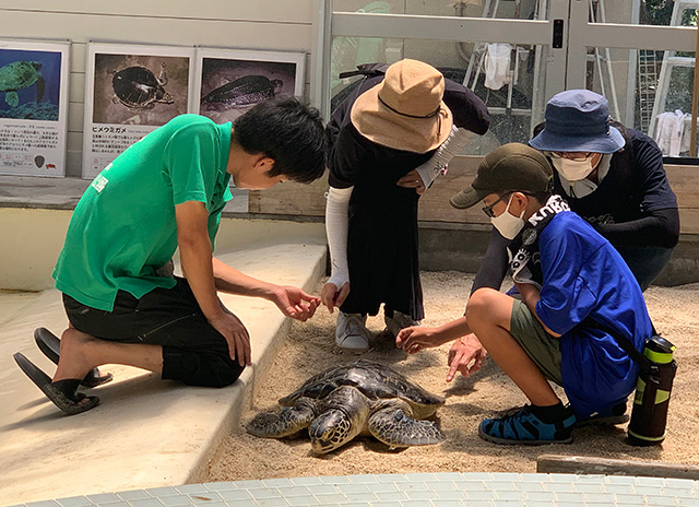 休日に実施される「カメタッチ」/紀宝町ウミガメ公園(三重県/紀宝町)