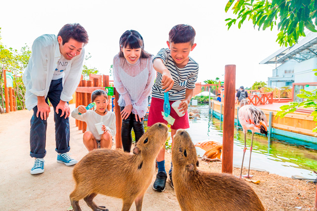 カピバラにごはんをあげてみましょう/横浜・八景島シーパラダイス(神奈川県/横浜市)