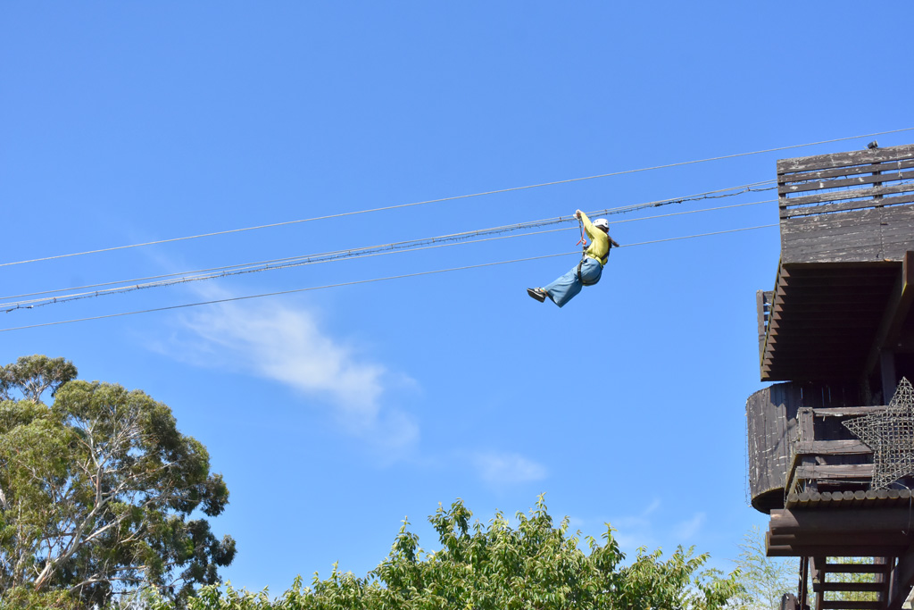 ジップライン~風KAZE~/伊豆ぐらんぱる公園(静岡県伊東市)