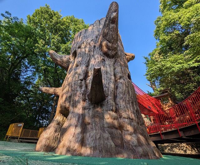 ツリーハウス/あいち健康の森公園(愛知県大府市)