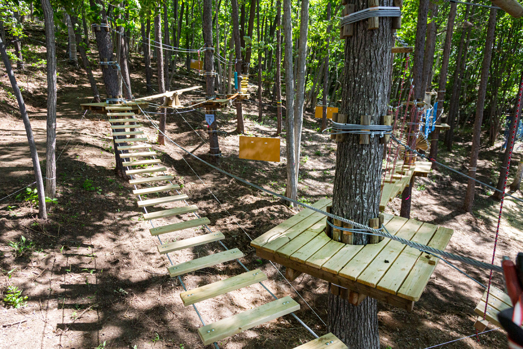自然を活かしたツリートレッキング/札幌アスレチックパーク(北海道/札幌市豊平区)