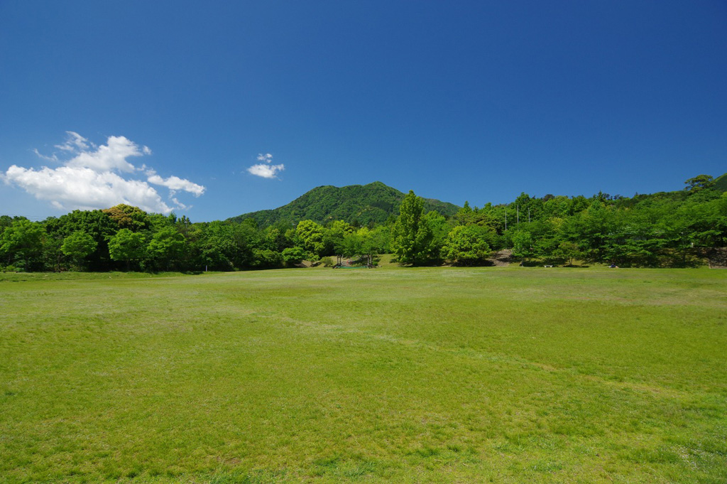 広々と遊べる芝生の広場「つどいの広場」/三重県民の森(三重県/三重郡菰野町)