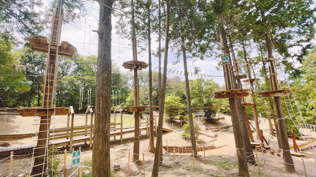 CHコース1つめの一部／ボウケンノモリ太陽が丘（京都府／宇治市広野町）