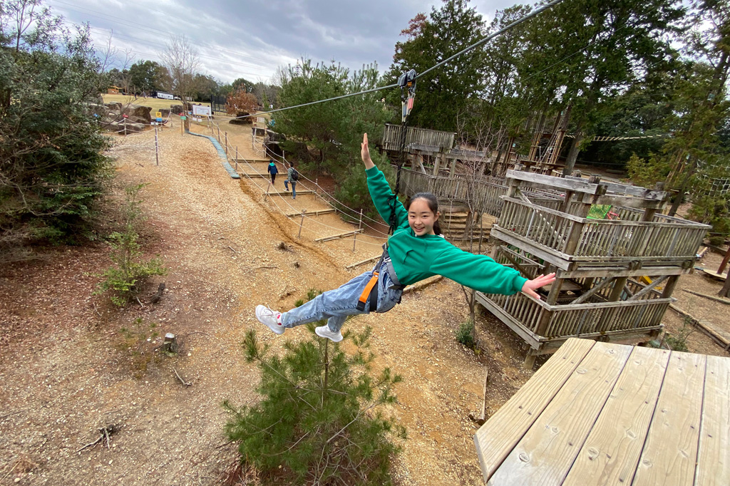 CHコースジップライン／ボウケンノモリ太陽が丘（京都府／宇治市広野町）
