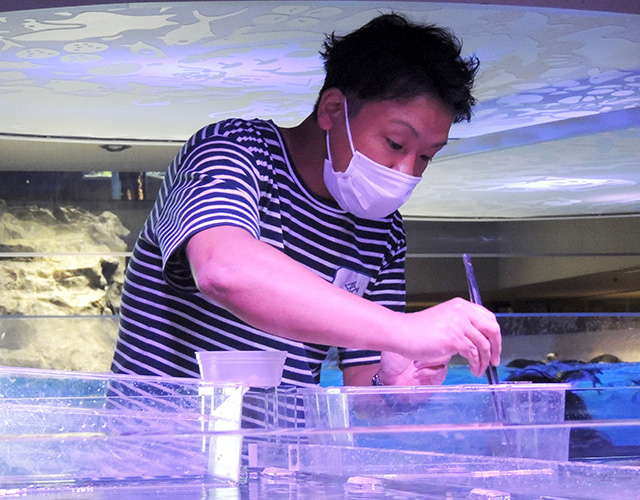 藤原智昭さん（すみだ水族館 飼育スタッフ）