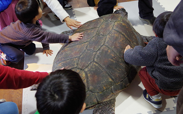 子どもとウミガメの大きさの比較/串本海中公園水族館(和歌山県)