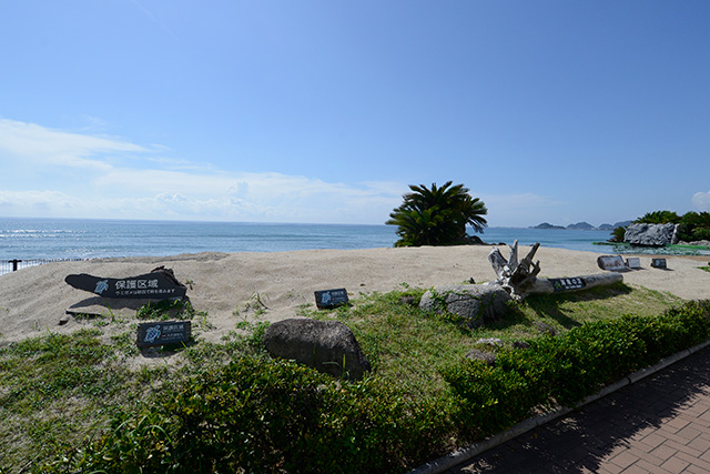 水槽のそばにある人工ビーチ/鴨川シーワールド(千葉県/鴨川市)