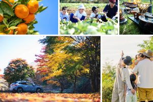 【紅葉＆味覚狩り】子連れにおすすめ！秋の千葉観光スポット9選 「千葉ぐるっとパス」も活用しよう