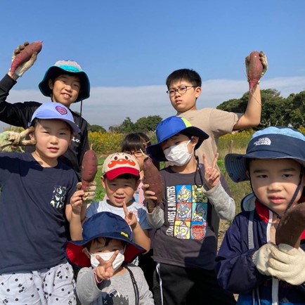 ちばぐるっとパス（千葉県木/更津市）