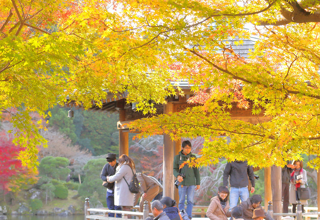 成田山新勝寺／成田山公園（千葉県/成田市）
