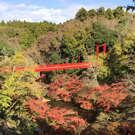 泉自然公園（千葉県/千葉市）
