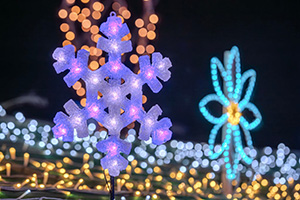 Sennan Park Light up vol.6（大阪府泉南市）