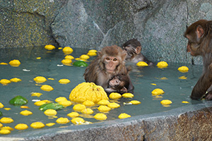 あかげ365露天風呂（埼玉県宮代町）