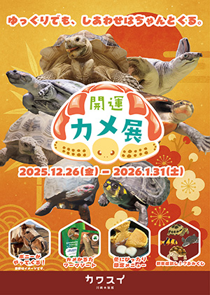 開運カメ展（神奈川県川崎市）