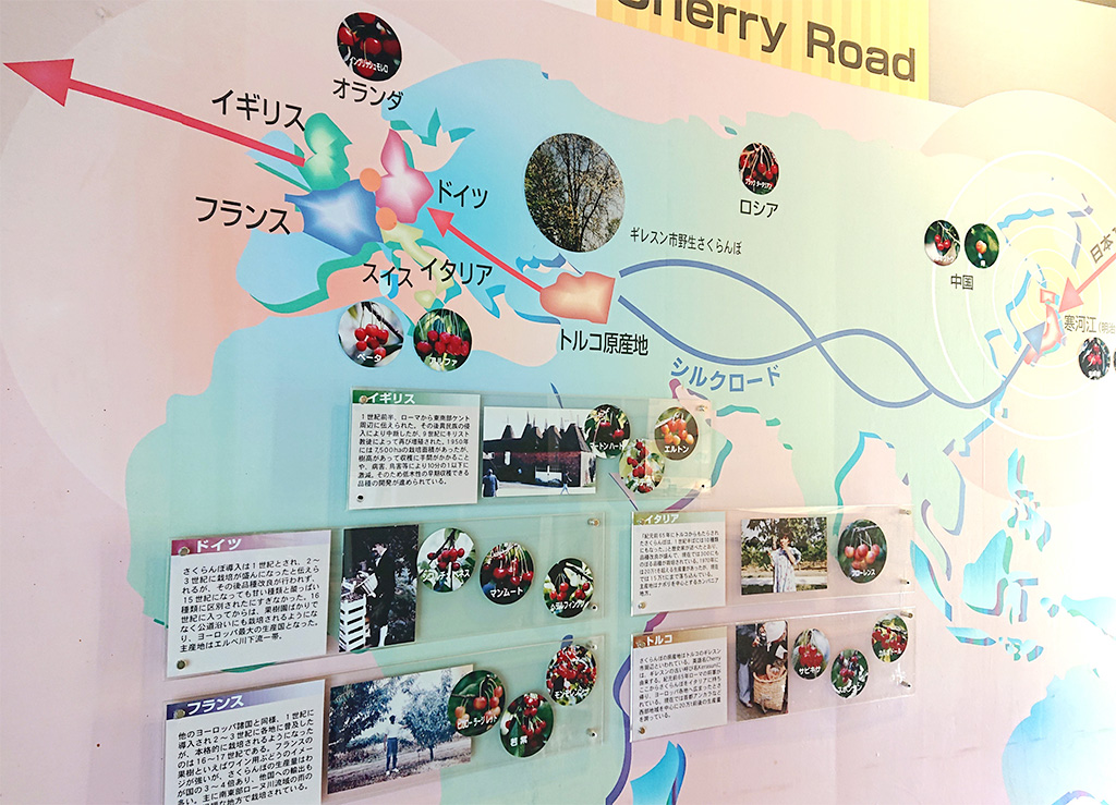 道の駅寒河江チェリーランド