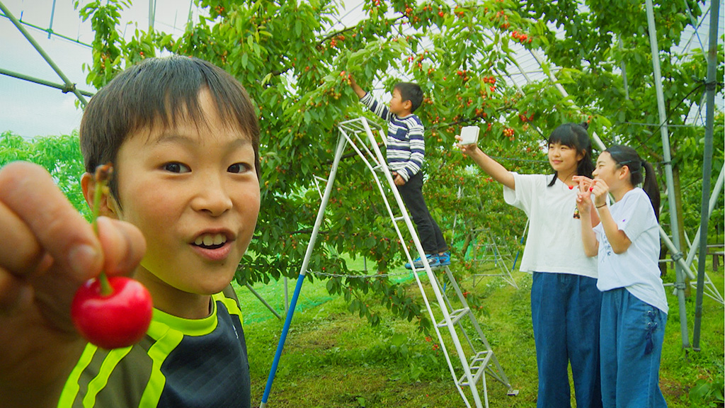 ナカノフルーツ(仲野観光果樹園)