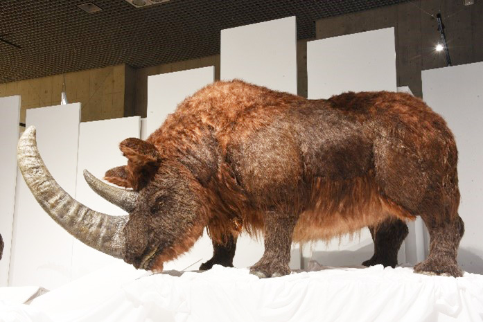 化石ハンター展 ゴビ砂漠の恐竜とヒマラヤの超大型獣(愛知県/名古屋市)