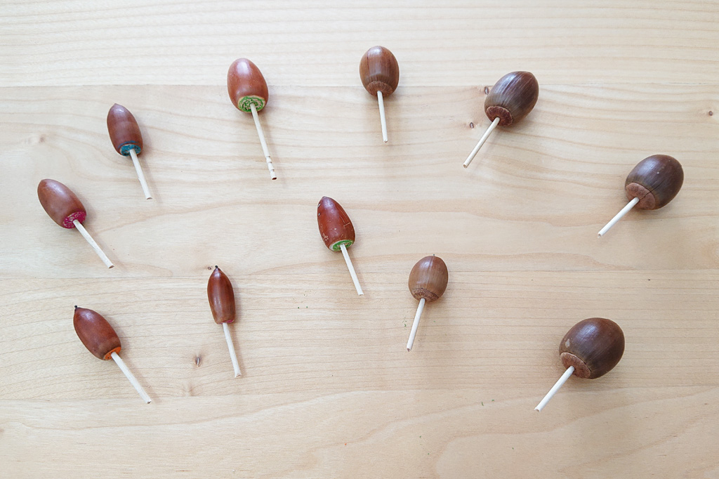 色々などんぐりゴマが完成