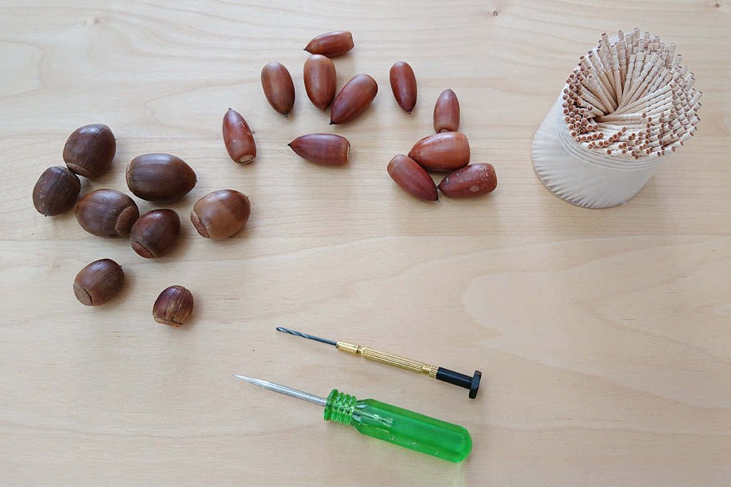 どんぐりゴマを作る準備