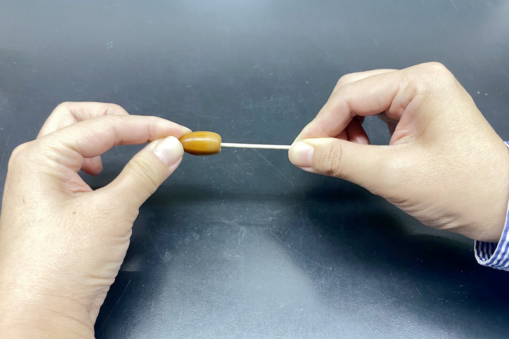 どんぐりに穴をあけたらつまようじを刺しましょう