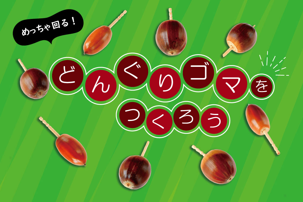 簡単！どんぐりゴマの作り方は？よく回るどんぐりの種類や穴をあけるコツもチェック