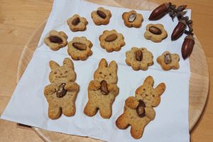どんぐりは生で食べられる?どんぐりクッキーの作り方やおいしい種類も紹介