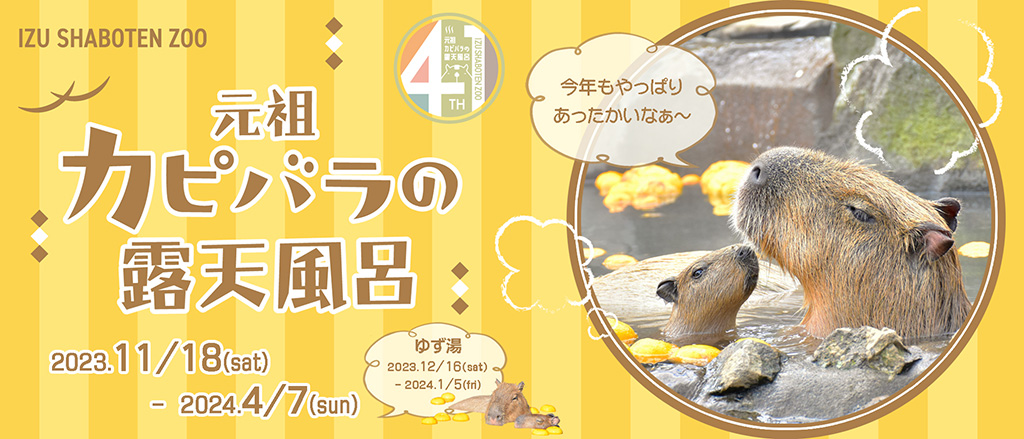 元祖カピバラの露天風呂/伊豆シャボテン動物公園（静岡県/伊東市）