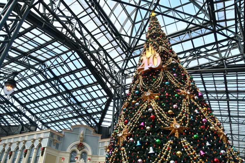 クリスマスツリー/東京ディズニーランド（千葉県/浦安市）