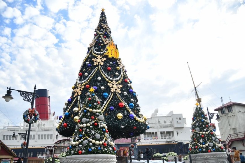 クリスマスツリー/東京ディズニーシーのクリスマス（千葉県/舞浜市）
