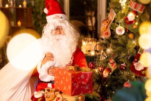 埼玉・オーパークおごせで「里山ウィンターナイト」を開催!サンタクロースがギフトを届ける宿泊者限定サービスも