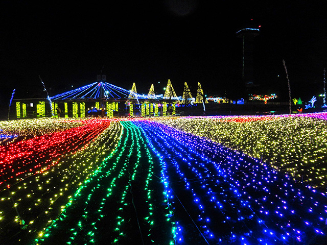 冬の光物語／国営木曽三川公園 木曽三川公園センター